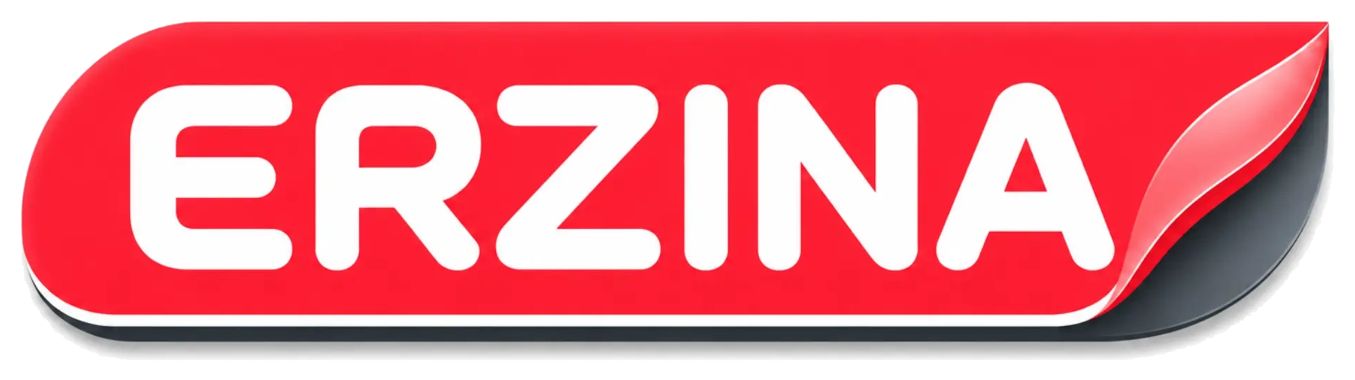 ERZINA